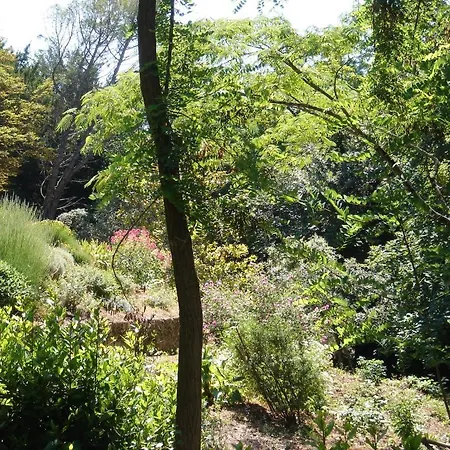 Domaine De Castel Parc Alojamento de Acomodação e Pequeno-almoço *