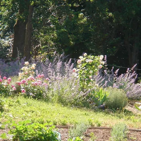 Domaine De Castel Parc *