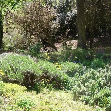 Domaine De Castel Parc