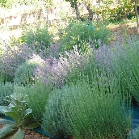 住宿加早餐酒店 Domaine De Castel Parc