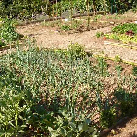 Domaine De Castel Parc *