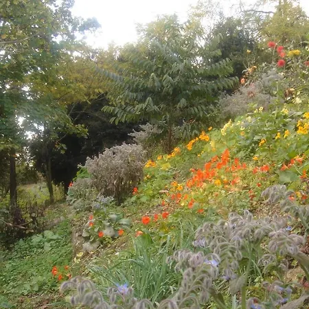 Domaine De Castel Parc * Niort