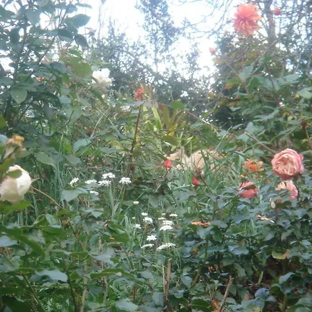 Domaine De Castel Parc 住宿加早餐酒店