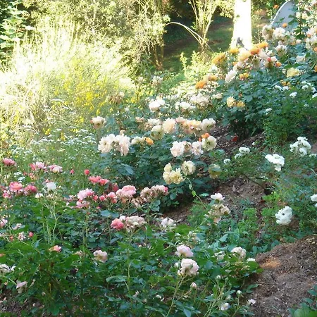 Domaine De Castel Parc