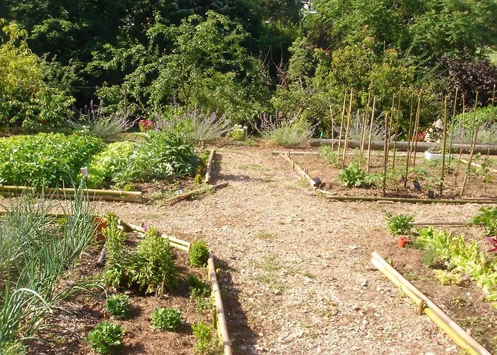 Domaine De Castel Parc