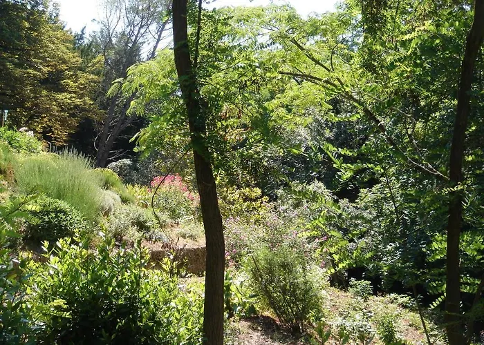 Domaine De Castel Parc 住宿加早餐酒店 *