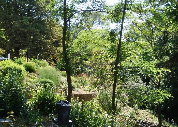 Domaine De Castel Parc 住宿加早餐酒店 尼奥尔