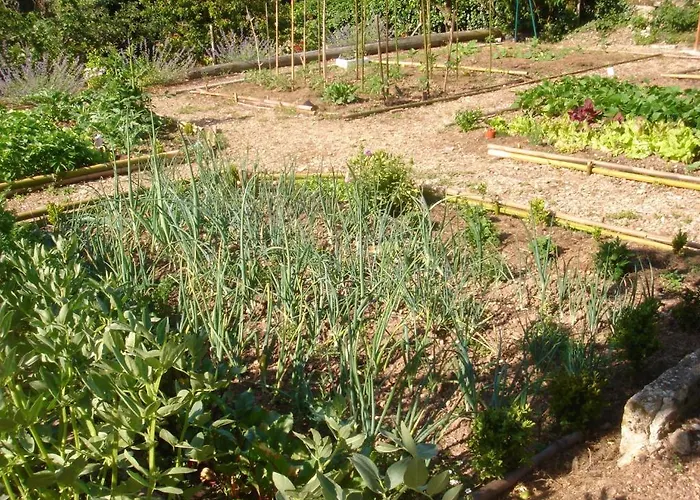 Domaine De Castel Parc *