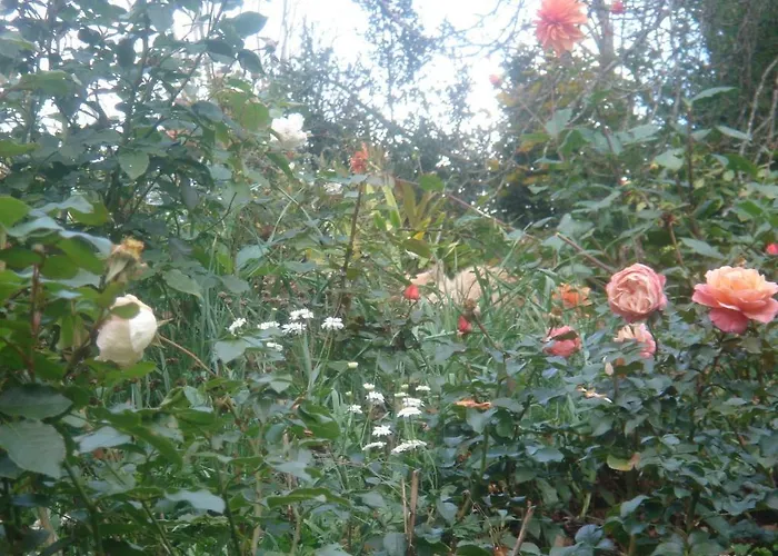 Domaine De Castel Parc 住宿加早餐酒店