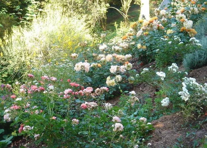 Domaine De Castel Parc